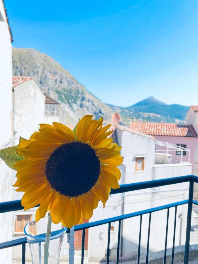 A Punta Terra Isnello B&B 외부 사진